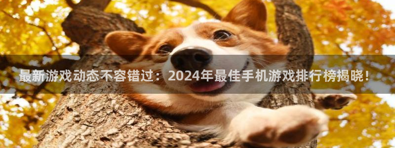 蓝冠娱乐平台官网注册：最新游戏动态不容错过：2024年最佳手