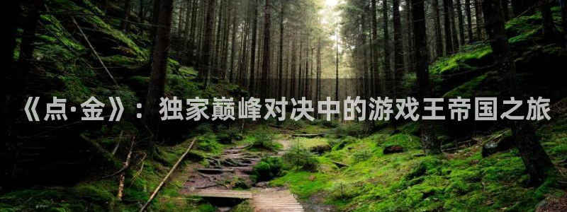 蓝冠娱乐手机网页版登录：《点·金》：独家巅峰对决中的游戏王帝