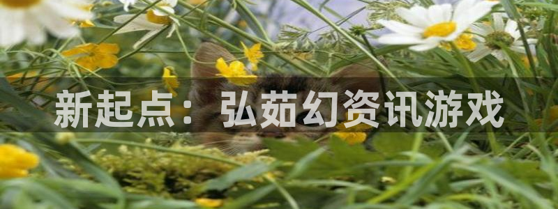 蓝冠娱乐娱乐是真的吗：新起点：弘茹幻资讯游戏