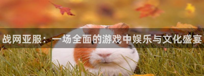 蓝冠娱乐平台登录线路：战网亚服：一场全面的游戏中娱乐与文化盛