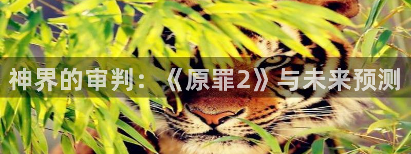 蓝冠娱乐注册网站：神界的审判：《原罪2》与未来预测