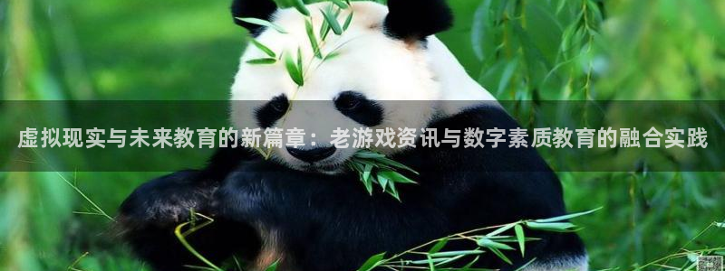 蓝冠娱乐升级5994月：虚拟现实与未来教育的新篇章：老游戏资
