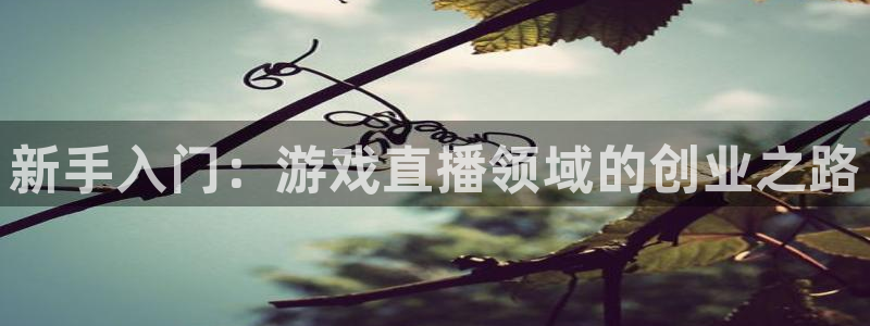 蓝冠娱乐注册网站：新手入门：游戏直播领域的创业之路