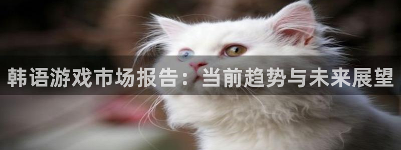 蓝冠娱乐app：韩语游戏市场报告：当前趋势与未来展望